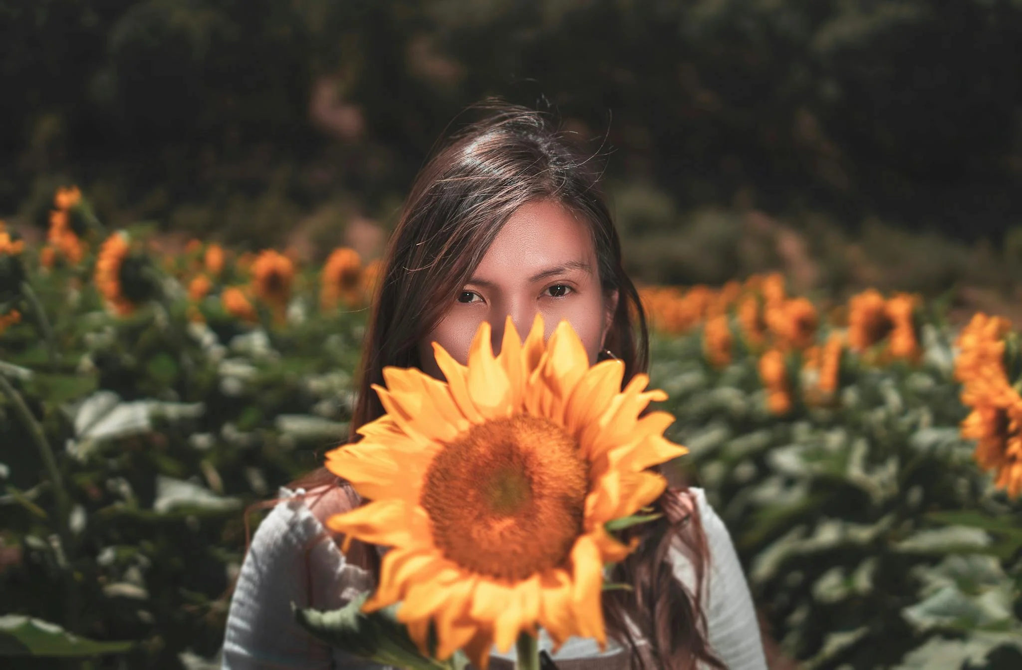 Building a Loyal Blog Audience: Strategies for Engagement and Growth