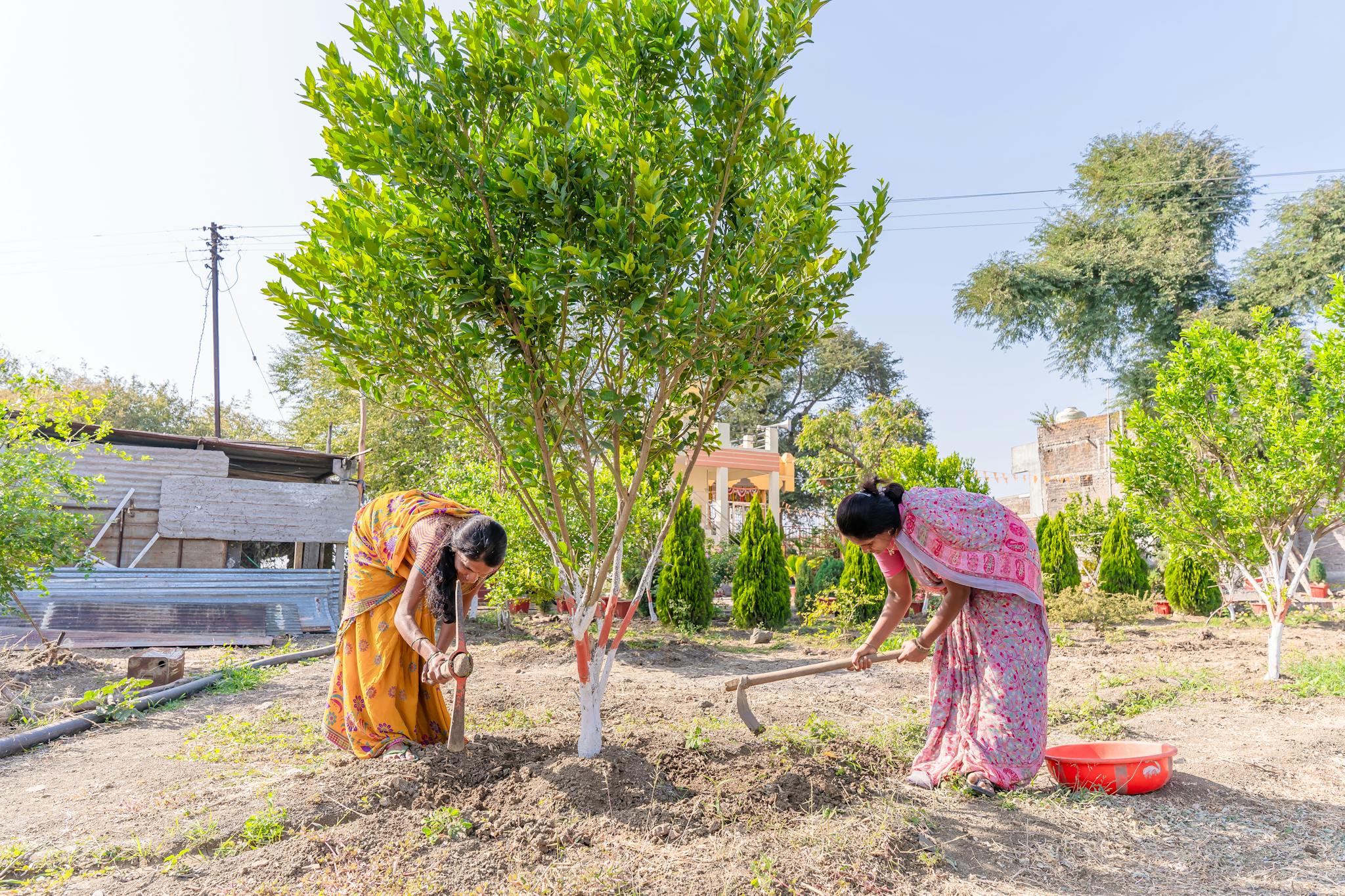 Two Indian women farming in a countryside setting, illustrating traditional agriculture.